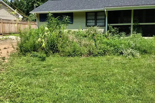 Lawn Care Services